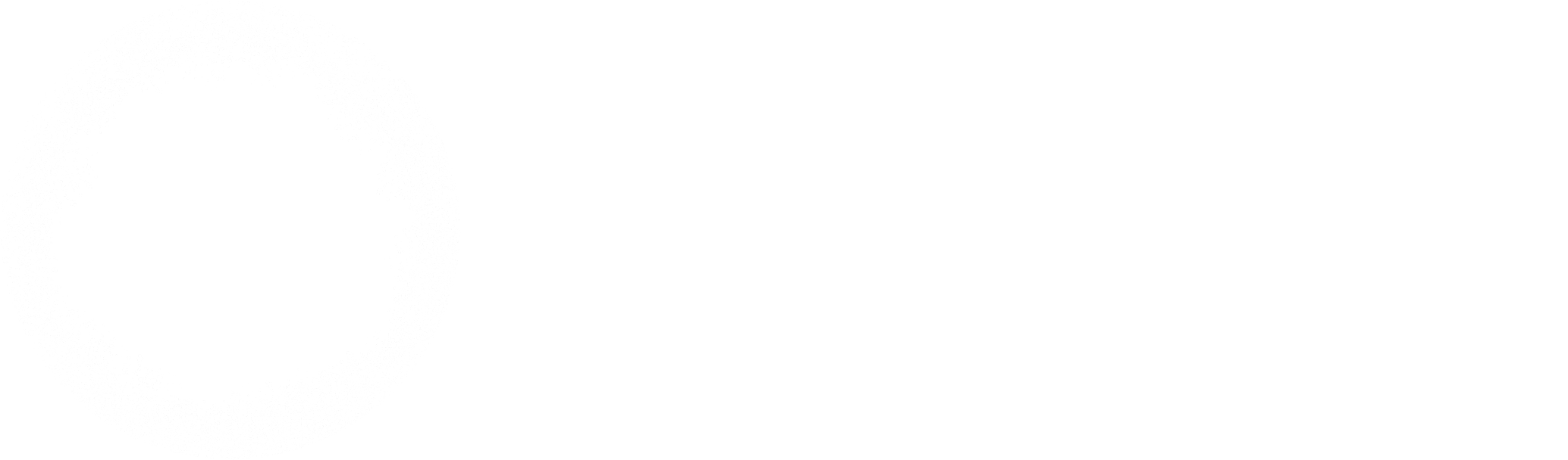 Optura
